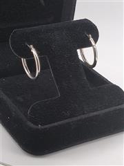Gold Earrings 14K White Gold 0.84g